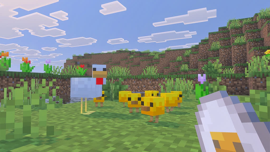 جوجه‌ها در کنار والدشان حرکت می‌کنند