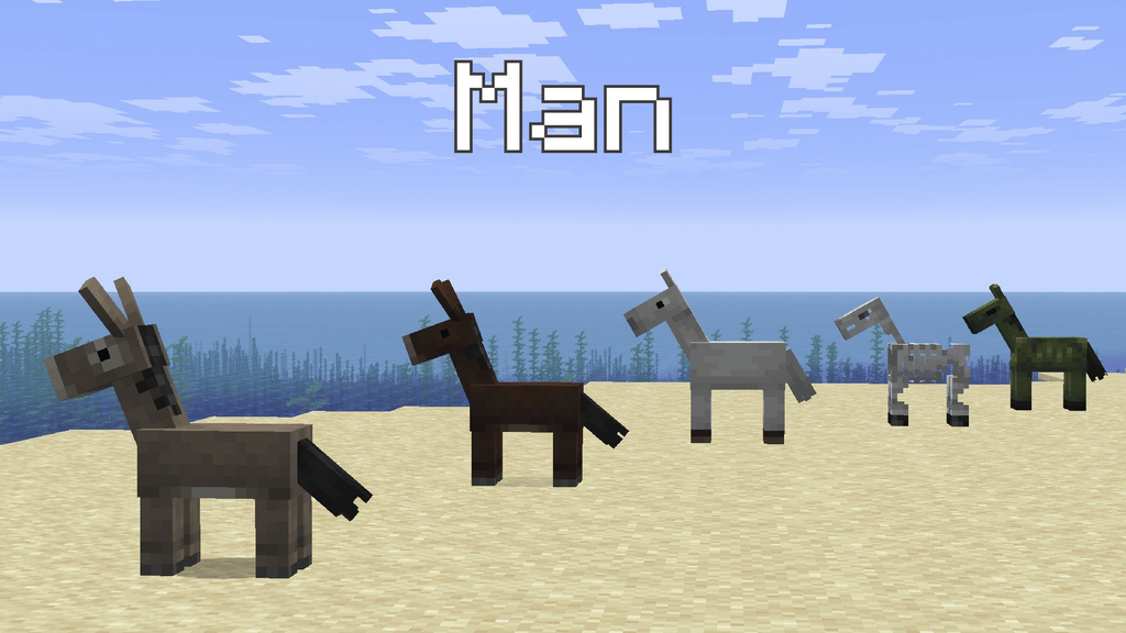 اسب‌سانان بچه در یک صف ایستاده‌اند.