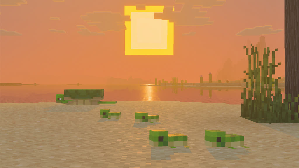 لاک‌پشت‌های بچه روی ساحل راه می‌روند