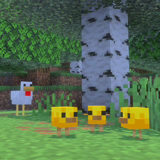 جوجه‌ها داخل جنگل هستند.