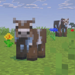   یک گاو بچه در بایوم دشت دیده می‌شود.