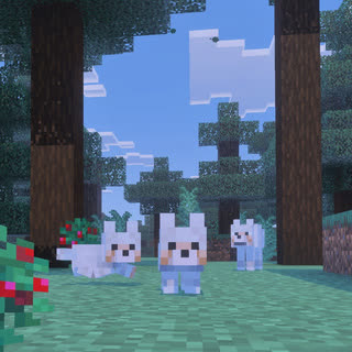  توله‌سگ‌ها در تایگا قرار دارند.