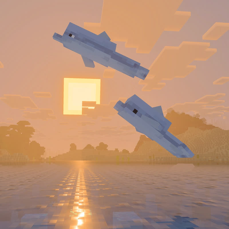  یک دلفین بچه کنار والدش