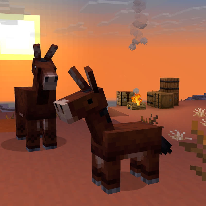 یک قاطر بچه کنار والدش است