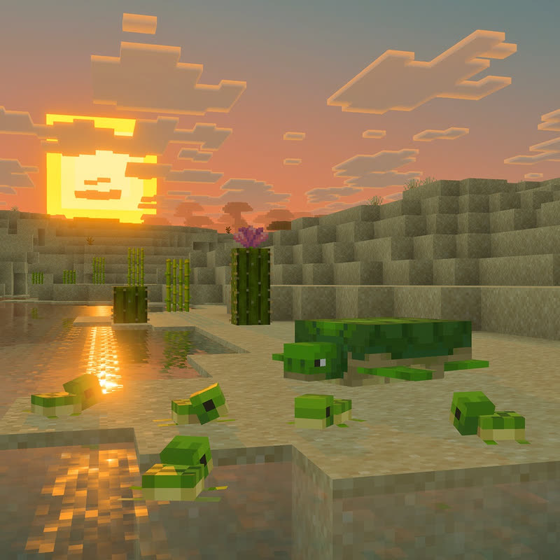 لاک‌پشت‌های بچه همراه با والدشان