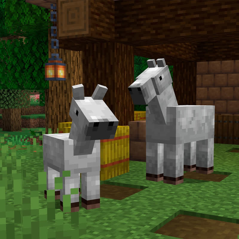 یک کره‌اسب سفید کنار والدش