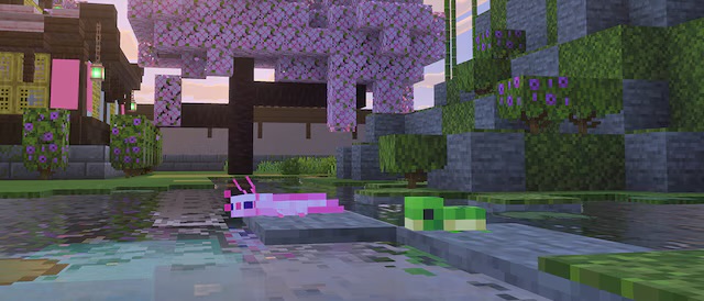  یک آکسولوتل بچه و یک لاک‌پشت بچه کنار هم